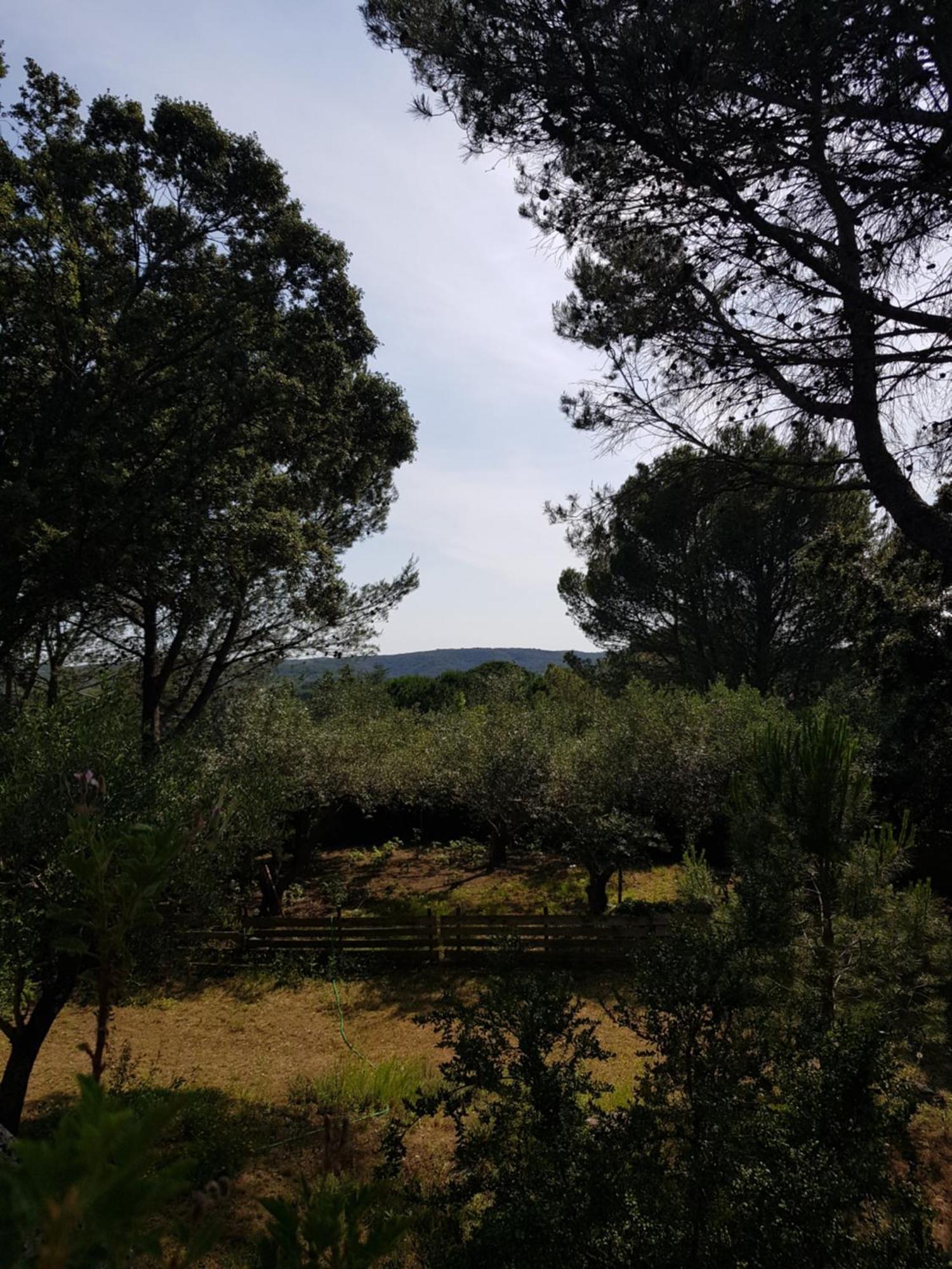 Maison Au Calme Castillon-du-Gard Εξωτερικό φωτογραφία